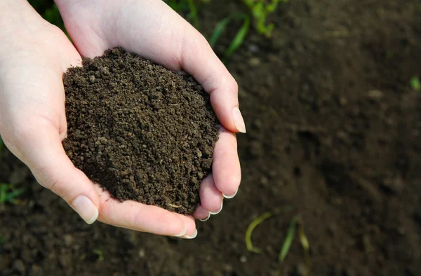 Горстка черной почвы над землей — стоковое фото