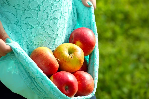 Red apple in hemline of female clothing, closeup — Stock Photo, Image