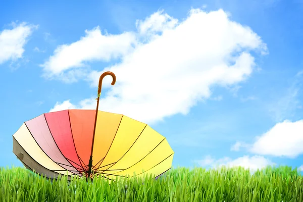 Colorful umbrella on green grass, outdoors — Stock Photo, Image