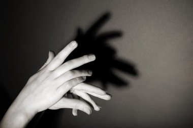 Gri zemin üzerine keçi gibi el jest