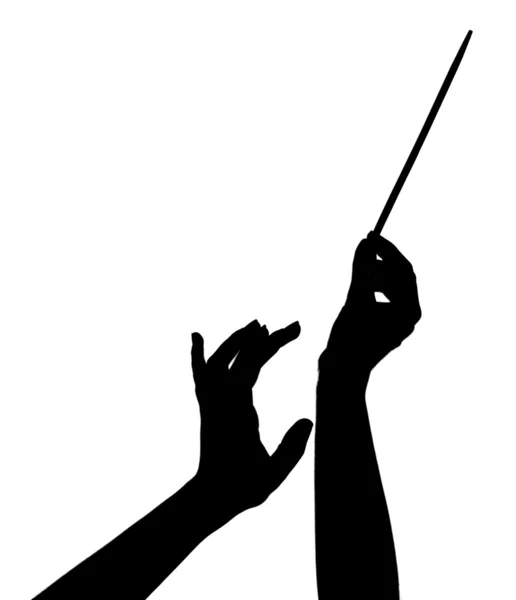 Mani da direttore musicale con bastone isolato su bianco — Foto Stock