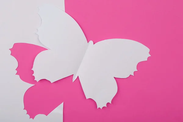 Cutout paper butterfly as greeting card — Stock Photo, Image