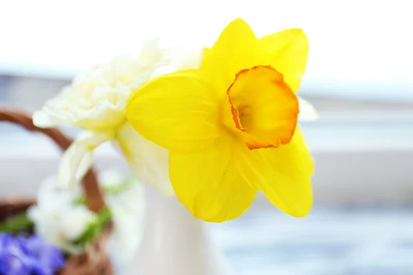 背景をぼかした写真に水仙花のクローズ アップ — ストック写真