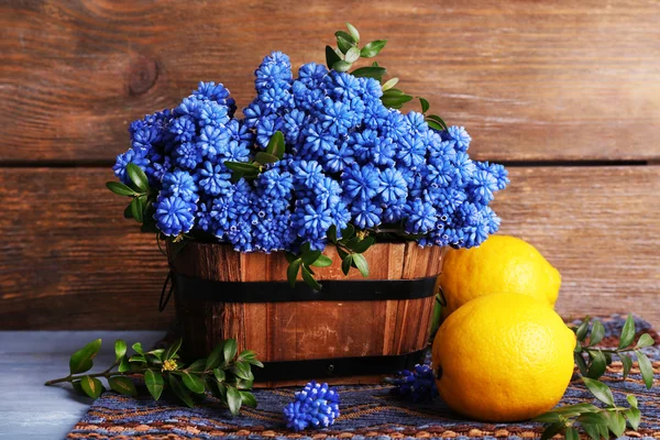 Flores de campana azul con limón sobre fondo de madera — Foto de Stock