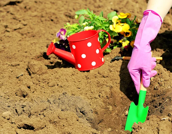 Ženské ruce v růžové rukavice, pěstování květin, close-up — Stock fotografie