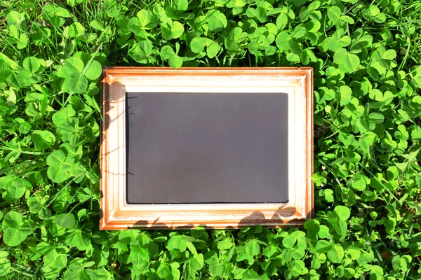 Photo frame over green bush background — Stock Photo, Image