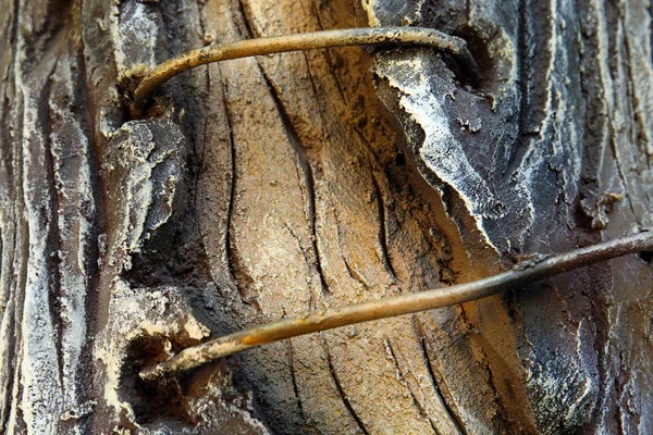Knäckt trä textur bakgrund — Stockfoto