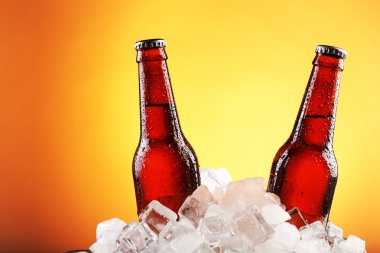 Cam şişe bira buz küpleri renk arka plan üzerinde