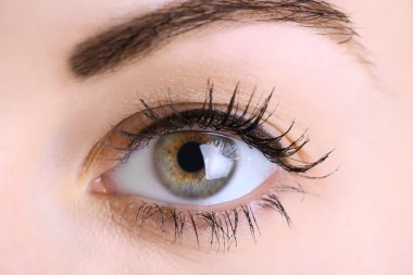 İnsan gözü. Yaklaş.