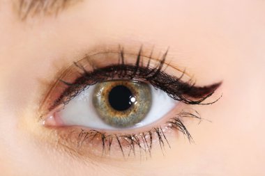 İnsan gözü. Yaklaş.