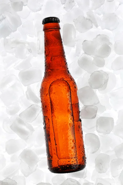 Botella de vidrio de cerveza sobre fondo de cubos de hielo — Foto de Stock