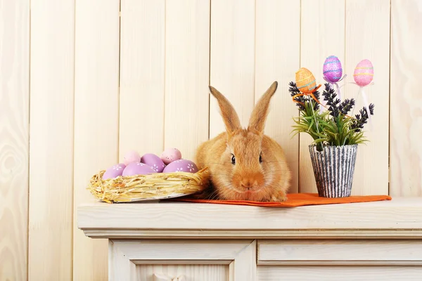 Niedliche rote Kaninchen mit Ostereiern im Regal auf hölzernem Wandhintergrund — Stockfoto