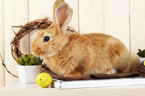 Cute red rabbit with Easter eggs on shelf on wooden wall background — Stock Photo, Image