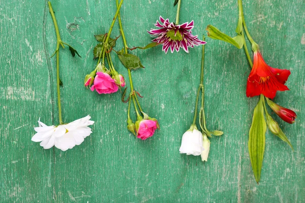 Flores diferentes no fundo de madeira — Fotografia de Stock