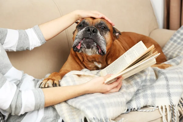 Lindo perro y chica tumbado en el sofá, en el fondo interior del hogar —  Fotos de Stock