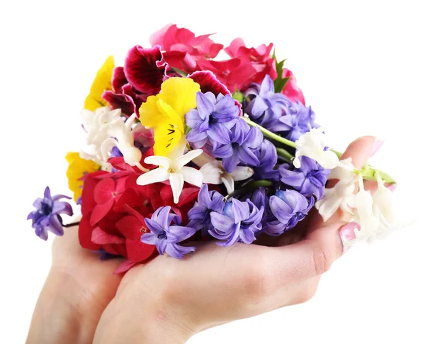 Mãos segurando flores brilhantes isoladas em branco — Fotografia de Stock