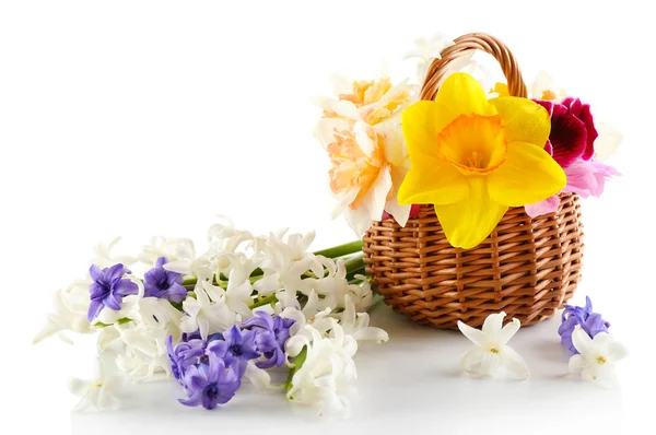 Hermosas flores en cesta — Foto de Stock