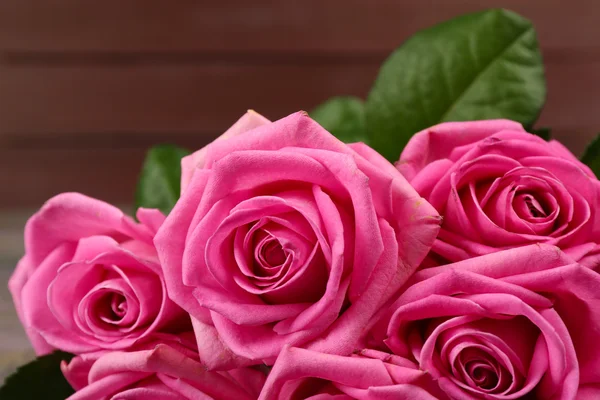 Hermosas rosas rosadas — Foto de Stock