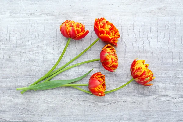 Belas tulipas brilhantes em fundo de madeira — Fotografia de Stock