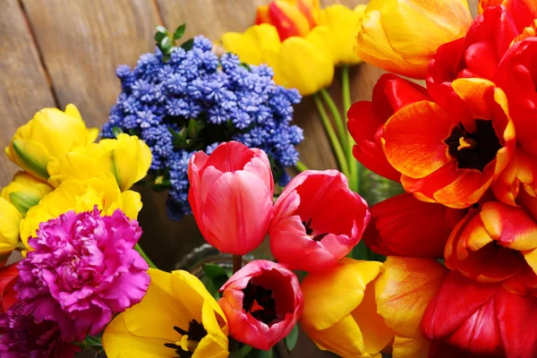 Beautiful spring flowers close up — Stock Photo, Image