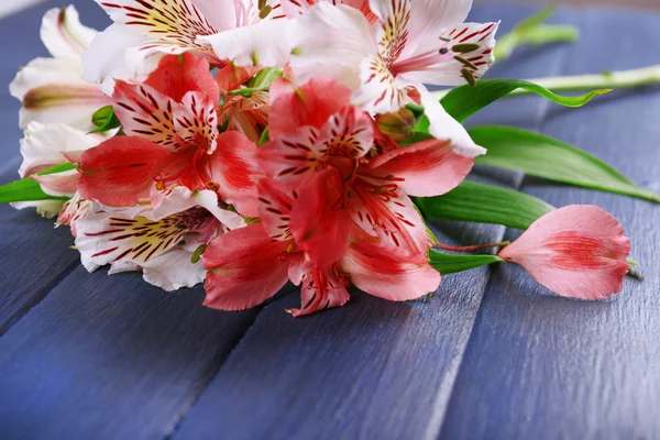 Beautiful alstroemeria on wooden background — Stock Photo, Image