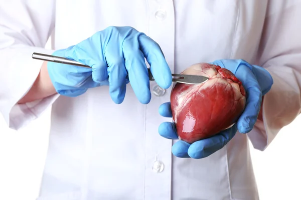 Medico con organo cardiaco e bisturi — Foto Stock