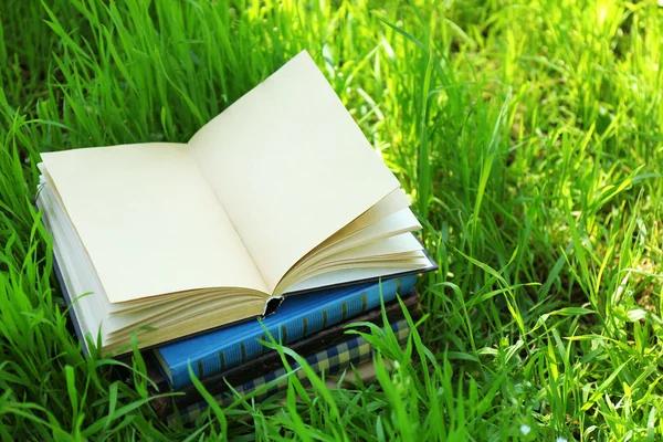 Bücher im Gras gestapelt, draußen — Stockfoto