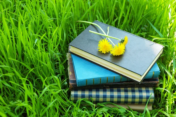 Skládané knihy v trávě, venku — Stock fotografie