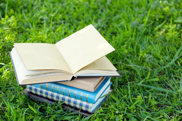 Buiten boeken in gras, gestapeld — Stockfoto