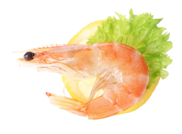 Camarones hervidos con limón y lechuga aislados en blanco —  Fotos de Stock