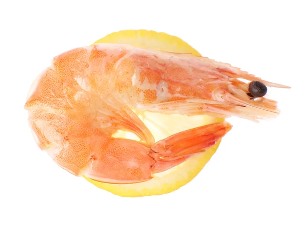 Boiled shrimp with lemon isolated on white — Stock Photo, Image