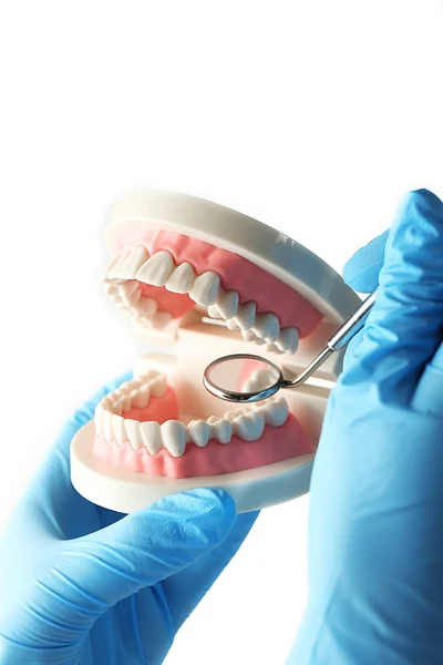 Dentes brancos falsos na mão do dentista — Fotografia de Stock