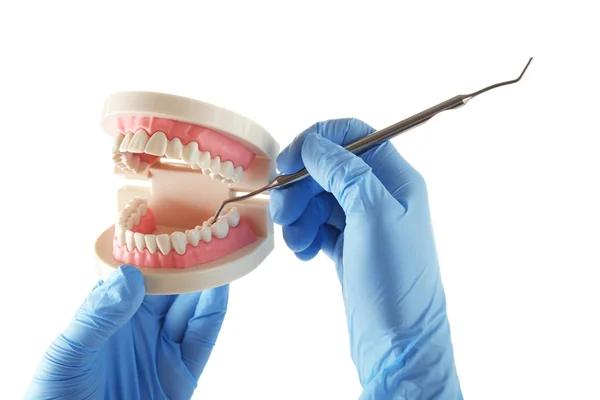 Белые фальшивые зубы в руке стоматолога — стоковое фото