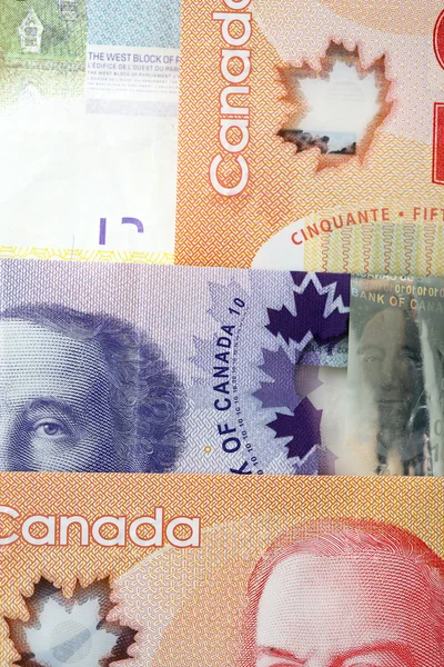 Canadese dollars, close-up — Stockfoto