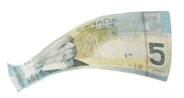 Canadese 5 Dollaro — Foto Stock