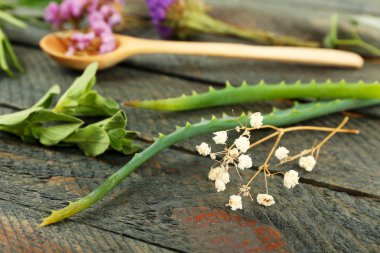 Yeşil otlar ve yaprakları