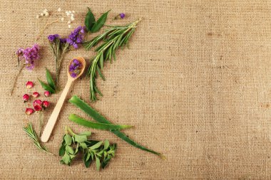 Yeşil otlar ve yaprakları