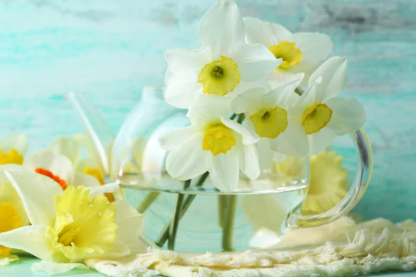 Fresh narcissus flowers — Stock Photo, Image