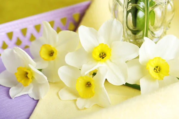 Färska narcisser blommor — Stockfoto