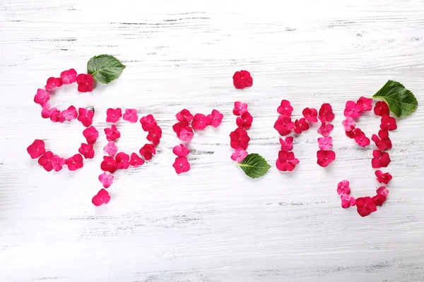 Wortquelle aus rosa Blütenblättern frischer Hortensien auf hölzernem Hintergrund — Stockfoto