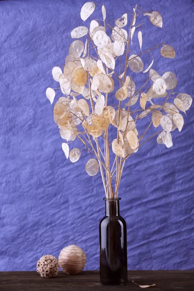Kompozycji z suszonych kwiatów — Zdjęcie stockowe