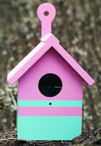 Scatola di nidificazione decorativa — Foto Stock
