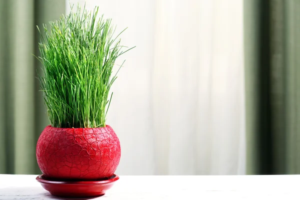 Erba verde in vaso su sfondo tessuto — Foto Stock