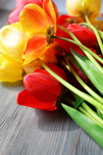 Schöne bunte Tulpen — Stockfoto