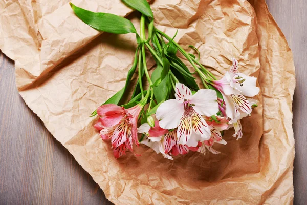 Schöne Alstroemeria auf Pergament — Stockfoto