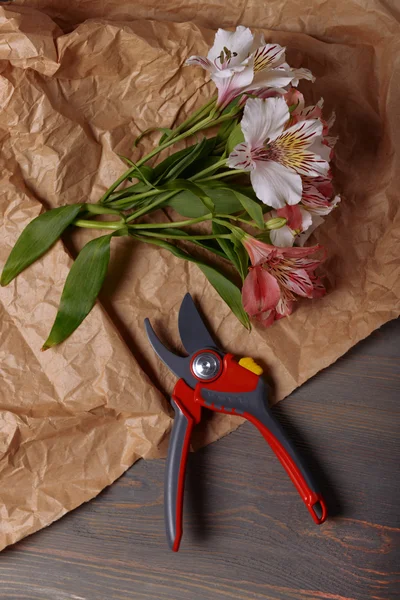Krásný kosatců s zahradnické nůžky — Stock fotografie