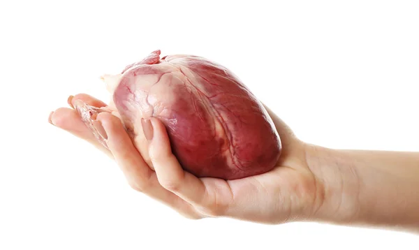 Heart in female hand — Stock Photo, Image