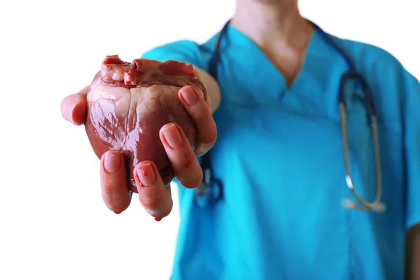 Heart in doctor hand — Stock Photo, Image