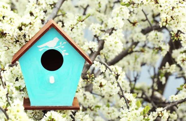 Decorative nesting box outdoors — Stock Photo, Image