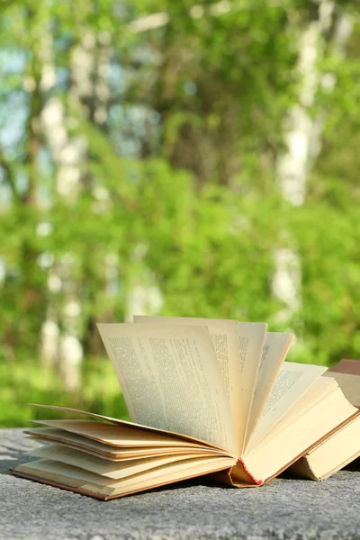 Stack of books outdoors — Stock Photo, Image